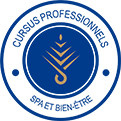 badge Logo Cursus Professionnels Letis Formation