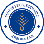 Logo Cursus Professionnels Letis Formation