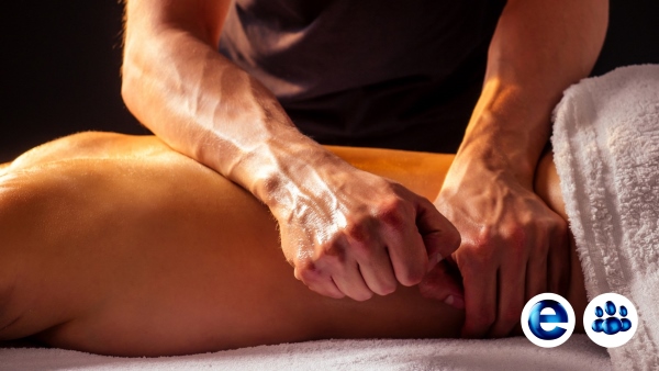 Letis Formation en ligne Formation en presentiel Formations Massages du Mondes xpx formation massage lomi lomi hawaien