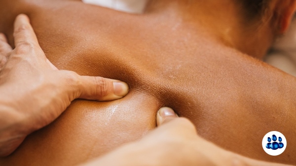 Letis Formation en presentiel xpx formation massage deep tissue