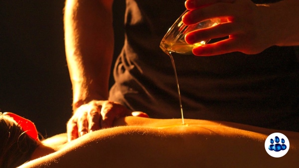 Letis Formation en presentiel Formations Massages du Mondes xpx formation massage indien ayurvedique abhyanga