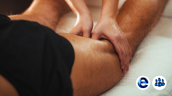 Letis Formation massage en ligne Formation massage en presentiel Formations Massages Sportifs xpx formation massage sportif