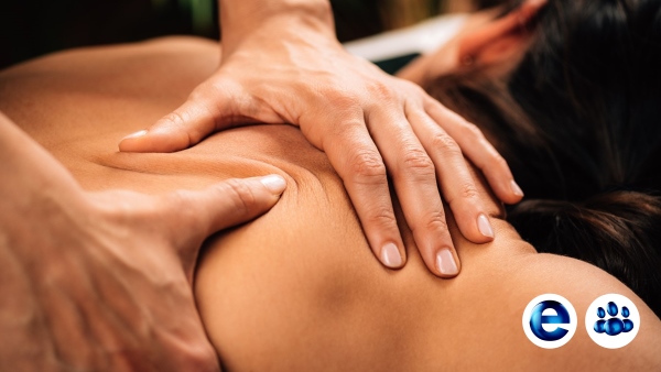 Letis Formation massage en ligne Formation massage en presentiel Formations Massages du Mondes xpx formation massage californien Toucher Decouverte