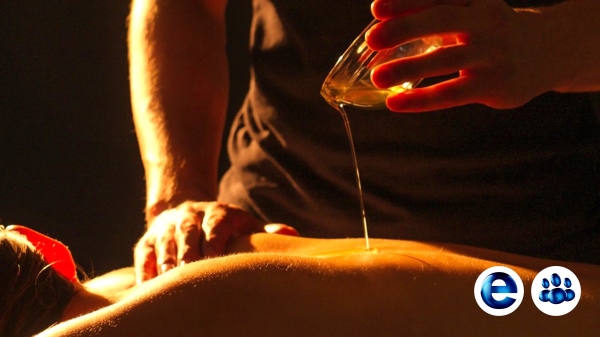 Letis Formation massage en ligne Formation massage en presentiel Formations Massages du Mondes xpx formation massage indien ayurvedique abhyanga